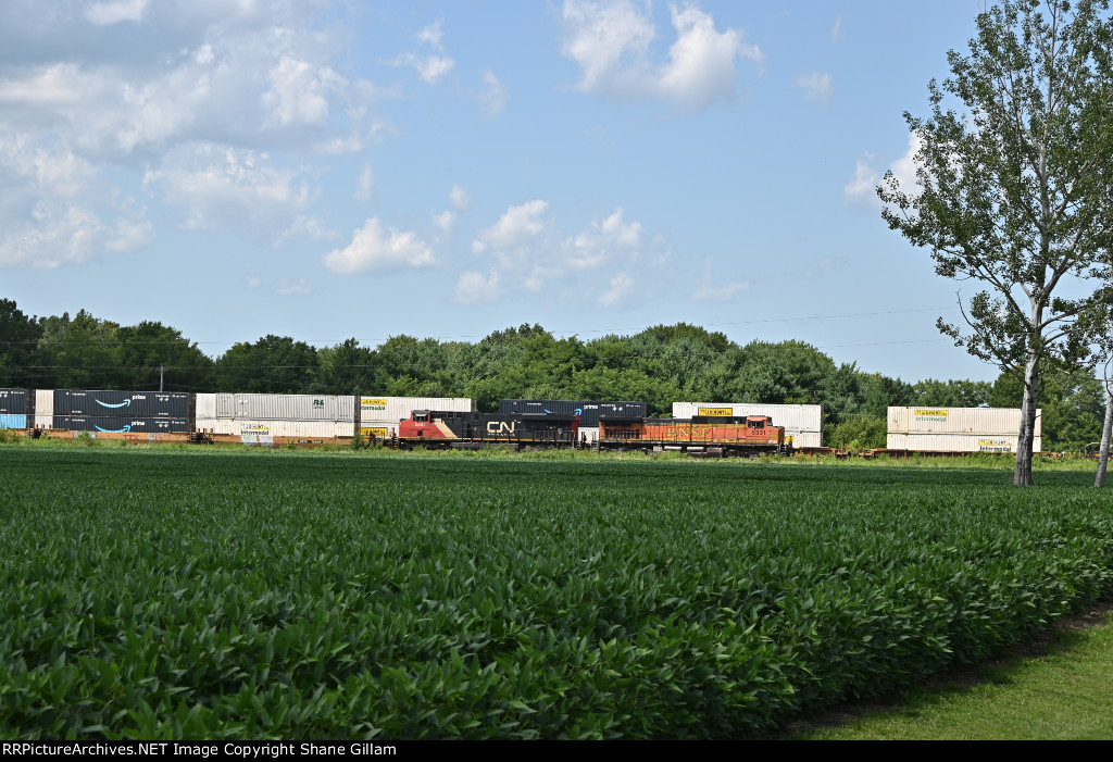 BNSF 5331